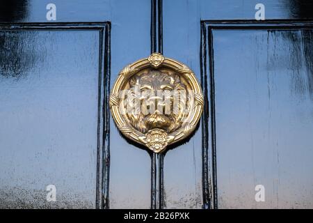 Large Brass Lion head knocker on Black door Stock Photo