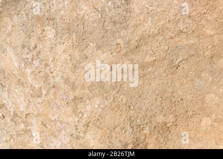 wide sandy reddish stone texture background for designs Stock Photo