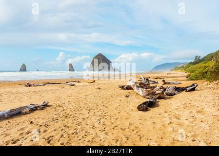Driftwood on beach of Cannon Beach Oregon USA Stock Photo