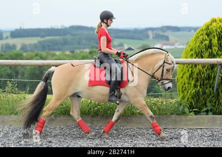 Faux leather riding breeches hi-res stock photography and images