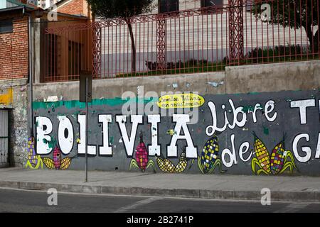 La Paz, Bolivia, 29th February 2020: 'Bolivia Free of Transgenic Crops' protest mural next to main UMSA University in La Paz. The smaller slogan on a yellow background translates as 'native seeds in resistance'. Stock Photo