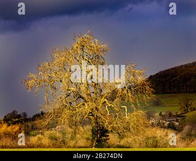 Landscapes of the Cotswolds, North Nibley, Waterley Bottom Stock Photo