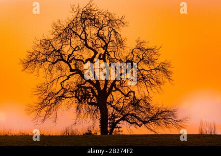 Landscapes of the Cotswolds, North Nibley, Waterley Bottom Stock Photo