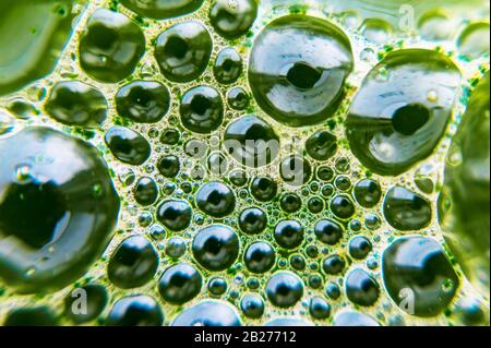 green bubble pattern as a foam structure on a liquid surface Stock Photo