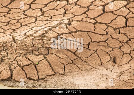 Nature background of cracked dry lands. Natural texture of soil with cracks. Broken clay surface of barren dryland wasteland close-up. Full frame to t Stock Photo