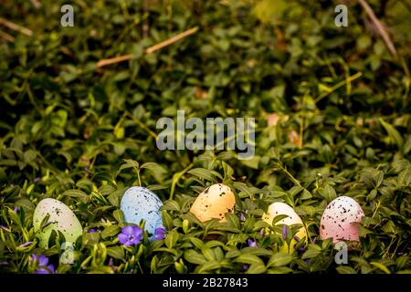 Colourful easter eggs in the grass Stock Photo