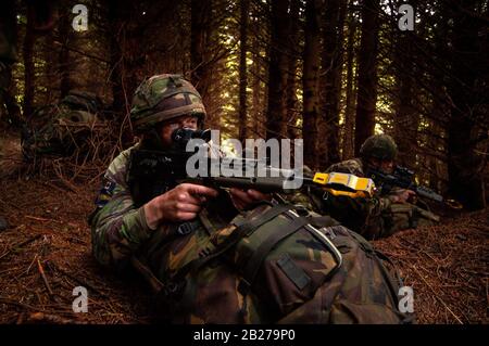 Territorial Army soldiers of the Royal Rifle Volunteers exercising on ...