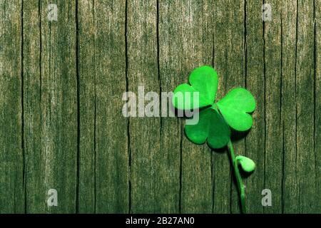 Shamrock leaf on shabby green wooden background. St. Patrick's Day, selective focus. Stock Photo