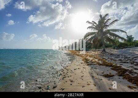Peaceful beach scene, Grand Cayman Island Stock Photo