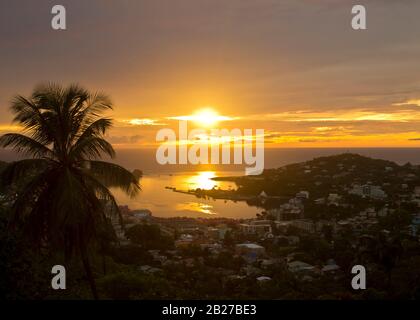 Photo of bright, beautiful sunset over the city with low-rise buildings near empty seaport with sun's reflection on water and palm tree isolated left Stock Photo