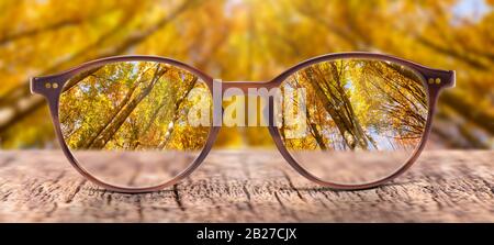 View through eyeglasses to nature Stock Photo