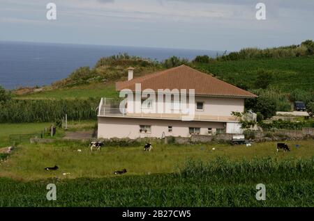 Wildlife photography in Portugal Stock Photo