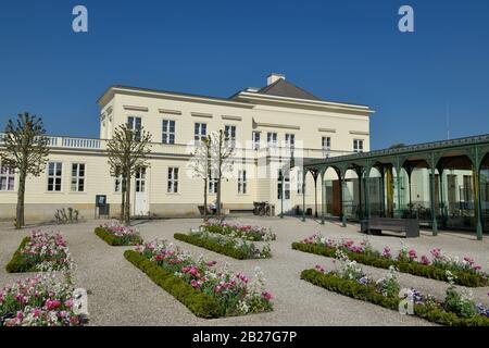 Tulpenbeete, Schloß, Großer Garten, Herrenhäuser Gärten, Hannover, Niedersachsen, Deutschland Stock Photo