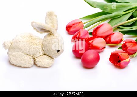 Happy holiday concept. Tulips in pink or red colors isolated on white background. Bouquet of spring tulips for holiday. Bunch of flowers near white fluffy Easter bunny and pink eggs. Stock Photo