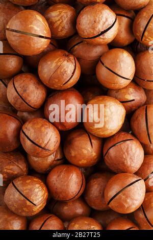Texture of organic macadamia walnut fresh natural fruit in full frame close-up view. Sawn shell Stock Photo