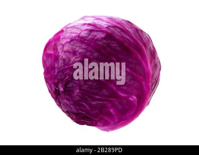 Cabbage Red isolated above white background. Fresh Purple cabbage. Stock Photo