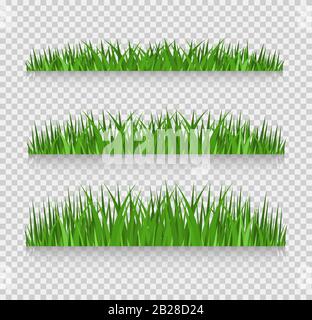 Grass borders set, Vector Illustration Stock Vector