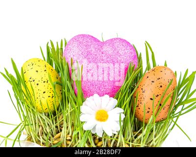 Colored easter egg and heart in green grass on a white background. Stock Photo