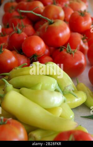 Garden fresh red tomatoes and yellow banana peppers are stacked and waiting to be processed and canned. Stock Photo