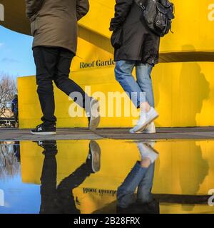 London, UK. 1st Mar, 2020. Visitors to London's Southbank Centre are reflected in rain puddles as they walk past one of the centre's iconic bright yellow brutalist architecture staircases. The day in London saw beautiful sunshine with blue skies, in stark contrast to Saturday's rain and storm. Credit: Imageplotter/Alamy Live News Stock Photo
