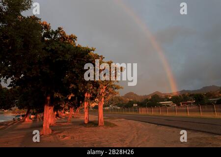 Tall white and red cedar trees with dense green foliage line the unmarked asphalt road near the chain link fence by the airport with a rainbow behind Stock Photo