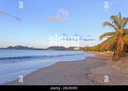Vigie beach at sunrise, gentle wave from the blue sea, the green covered hills yonder, palm and almond trees lit yellow from the rising sun Stock Photo