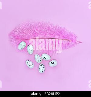 Eggs on a pink feather on a pink background. Easter concept Stock Photo