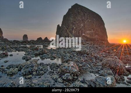 Sun setting over the Pacific Ocean near Haystack Rock near Cannon Beach on the Oregon Coast with the tide far out and the barnacle covered rocks expos Stock Photo