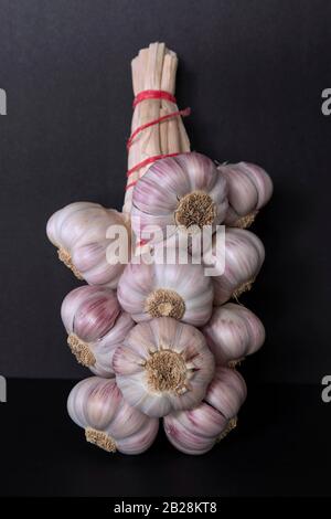 White and purple garlic head on a black background Stock Photo