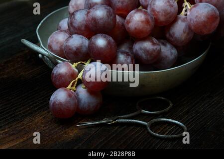 Red grapes in skin and scissors, Germany Stock Photo