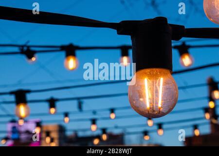 Light bulbs on the evening blue sky. Stock Photo