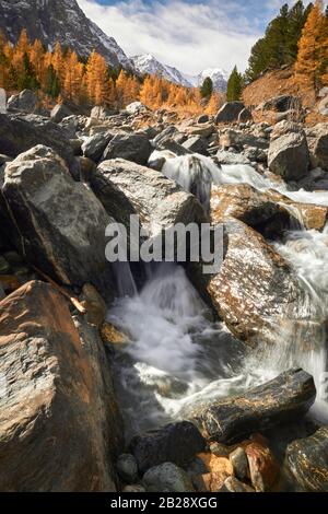 Aktru River in Altai flows from the mountains between large stones Stock Photo
