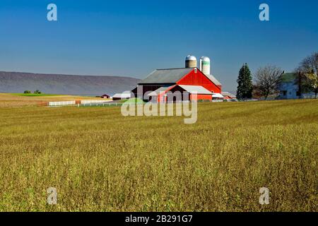 A dairy farm in the Amish influenced settlement Kishacoquillas Valley, Mifflin County, Pennsylvania Stock Photo