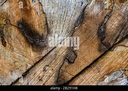 a close up of some cut trees wood with patterns and growth rings cut with a say forming an interesting pattern for use as a background. Stock Photo