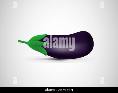 Beautiful closeup of purple eggplant on gray background for decoration design. Vector design. Fresh food. Natural food Stock Vector