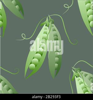 Green peas. Vector seamless pattern. Seamless texture. Seamless pattern with green peas on black background. Stock Vector