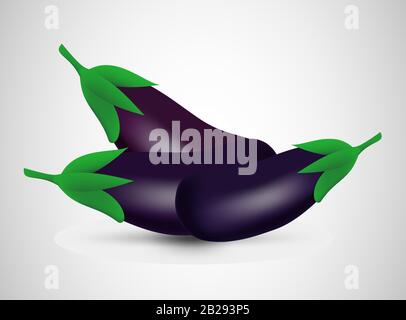 Closeup of purple eggplant on grey background. Vector illustration design. Vegetarian dinner. Stock Vector