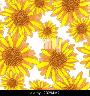 Beautiful seamless pattern with yellow sunflowers on white background. Seamless vector pattern. Decorative floral illustration. Meadow blossom. Floral Stock Vector