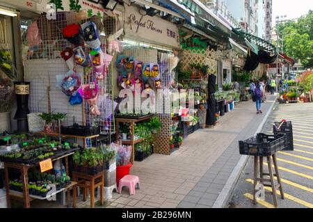 HONG KONG - August 3, 2015: Hong Kong Flower Market in Mong Kok. Hong Kong Flower Market is the largest flower wholesale and retail market in Hong Kon Stock Photo