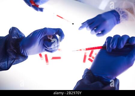 Close up background of two scientists examining blood samples over light panel in medical laboratory, copy space Stock Photo