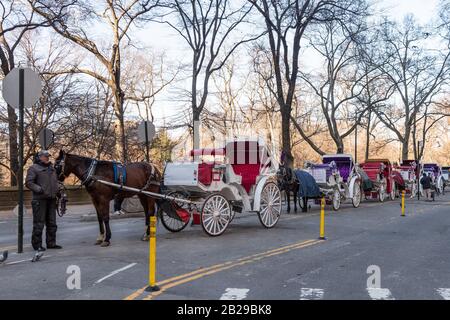 New York, USA. 1st Mar 2020. A row of carriage horses waiting in Central Park in New York City on March 1, 2020. (Photo by Gabriele Holtermann-Gorden/Sipa USA) Credit: Sipa USA/Alamy Live News Stock Photo