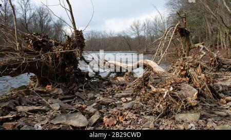 A Large Fallen Tree Branch Surrounded by Foliage on a Small Island of Rocks with a waterfall from a dam in the background Stock Photo
