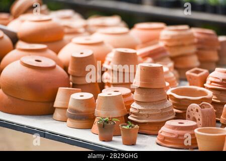 Clay flowerpot in the nursery plant tree / Terracotta pots for garden plants and flowers decorative flower pots and vases various sizes Stock Photo