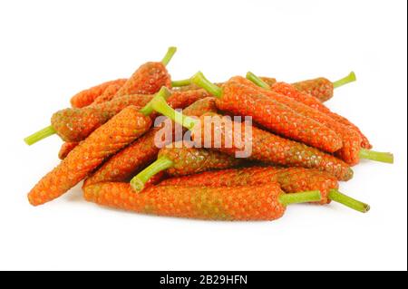Long pepper isolated on white background Stock Photo