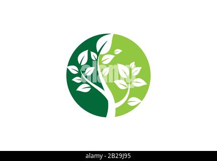 Green tree logo in a circle shape, ecology green plant sign. Stock Vector