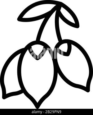 Antioxidant superfood icon, outline style Stock Vector