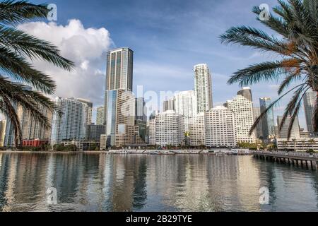 Downtown Miami skyline and buildings reflections from Brickell Key. Skyscrapers framed by palms.