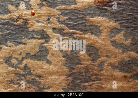 Background texture of greasy baking paper laying on a baking tray Stock Photo