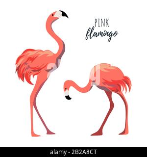 Pink flamingos isolated on white background.Cartoon vector illustration Stock Vector