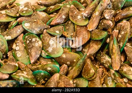 Green-lipped Mussels on sale in the traditional Mae Somchit Kata Fresh Market, Kata, Phuket, Thailand Stock Photo